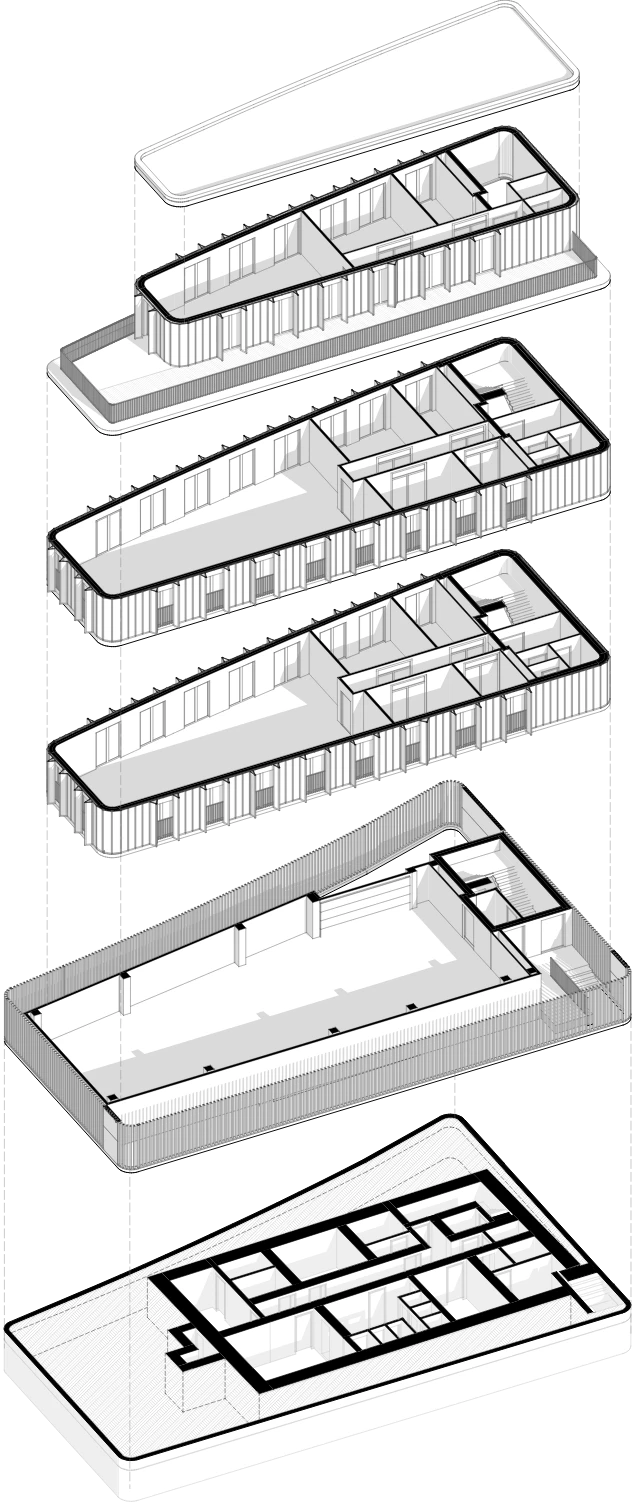 aksjonometria
